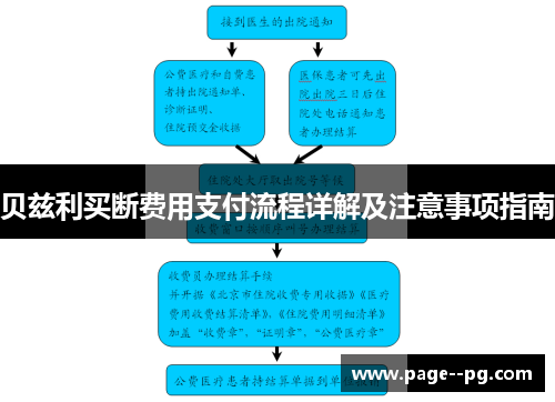 贝兹利买断费用支付流程详解及注意事项指南 贝兹利买断费用支付流程详解及注意事项指南