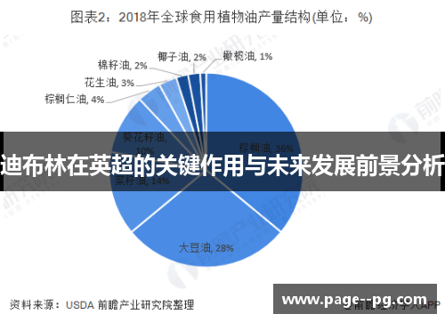 迪布林在英超的关键作用与未来发展前景分析