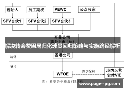 解决转会费困局归化球员回归策略与实施路径解析